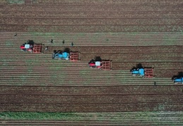TÜİK: Tarımsal girdi enflasyonu yüzde 103'e yükseldi