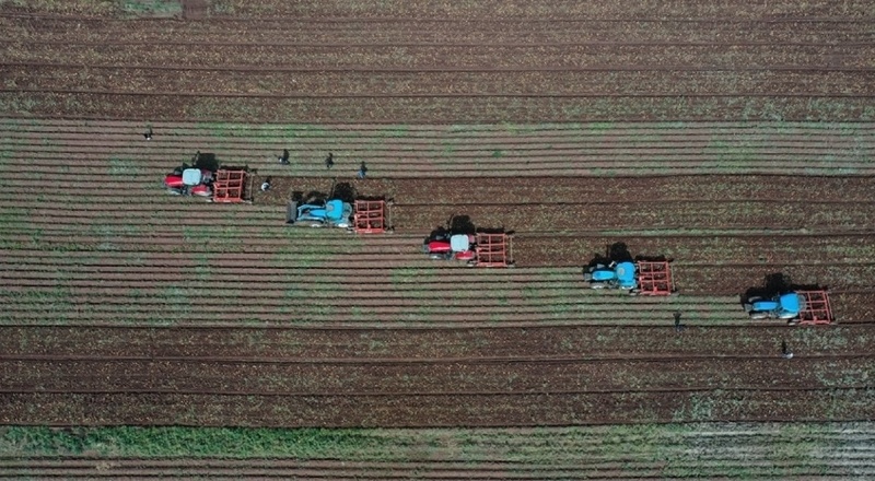 TÜİK: Tarımsal girdi enflasyonu yüzde 103'e yükseldi