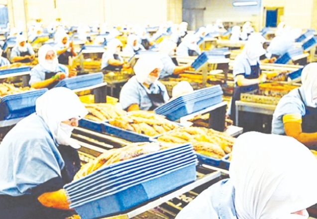 TÜİK’in elektrik ve gaz fiyatlarını üç ay geriden açıklaması emekçiyi mağdur ediyor