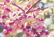 Risklere karşı güvenli, sağlıklı ve sigortalı depolama imkânı sağlanıyor