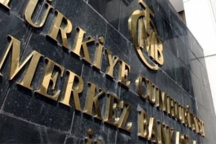 Türk Lirası &#8220;tökezledi&#8221;