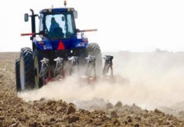 Türk tarımı dünyanın 7.büyüğü