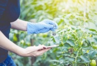 Turkcell’in tarımsal ürünü Filiz, verimlilik artışı ve sulamada yüzde 10 tasarruf sağlıyor