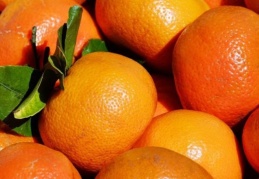 Türkiye 1 ayda 110 milyon dolarlık mandalina ihraç etti