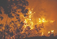 Türkiye, 2022’nin başında İklim Şûrası düzenleyecek