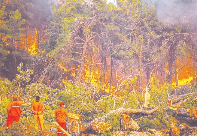 Türkiye, 8 gündür orman yangınları ile mücadele ediyor: 6 ilde, 11 yangın sürüyor