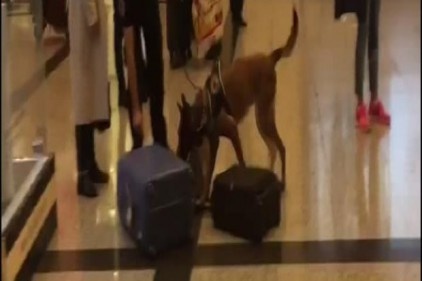 Türkiye &#8211;Almanya ilişkilerinde köpekler devrede!