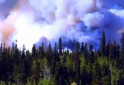 Türkiye de dünyayı kirletmeye başladı