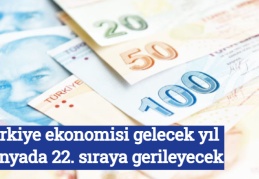 Türkiye ekonomisi gelecek yıl dünyada 22. sıraya gerileyecek