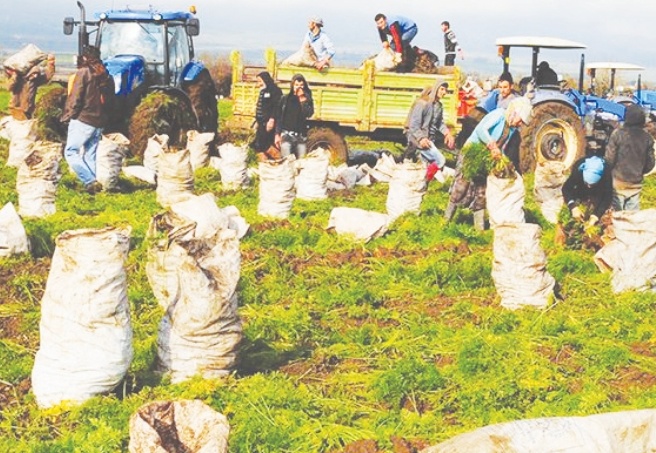 Türkiye ekonomisini ayakta tutuyor denilen Suriyeliler 16 saat çalışıyor