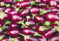 Türkiye genelinde Eylül ayının zam şampiyonu patlıcan oldu 