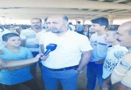 Türkiye genelinde yerli hayvan sayımız azalıyor 