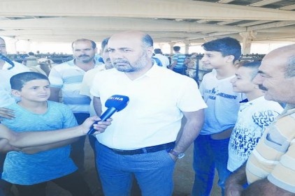 Türkiye genelinde yerli hayvan sayımız azalıyor 