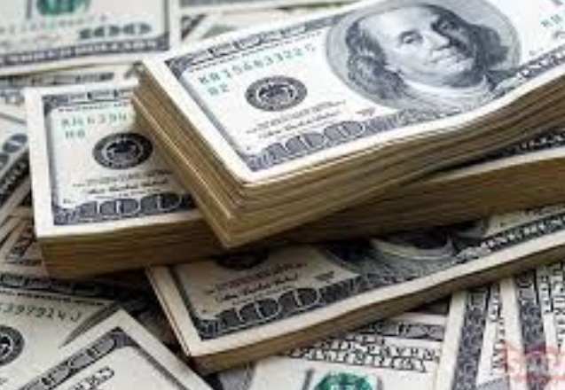 Türkiye İstatistik Kurumu mayıs ayına ilişkin finansal yatırım araçlarının reel getiri oranlarını açıkladı