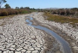 'Türkiye nisan ayından beri meteorolojik ve zirai kuraklık yaşıyor'