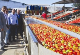 Türkiye, salça üretiminde dünya üçüncüsü