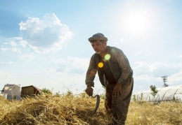 Türkiye Tarım Kredi Kooperatifleri bu yıl 3.7 milyar liralık ürün alacak