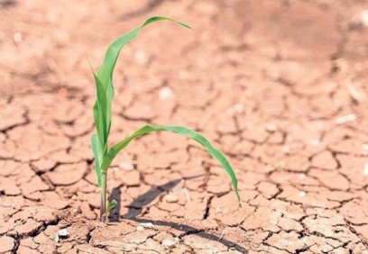 Türkiye topraklarında yüzde 80 oranında çölleşme riski!