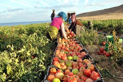 Türkiye, tüm tarım ürünlerini ithal eden ülke konumuna geldi