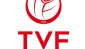 Türkiye Voleybol Federasyonu'ndan erteleme açıklaması