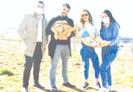 Türkiye'de hayvan hakkı yok, Gaziantep’in ciddi bir sokak hayvanı sorunu var