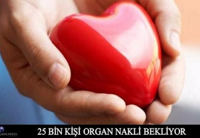 Türkiye’de 24 bin 876 kişi organ nakli bekliyor