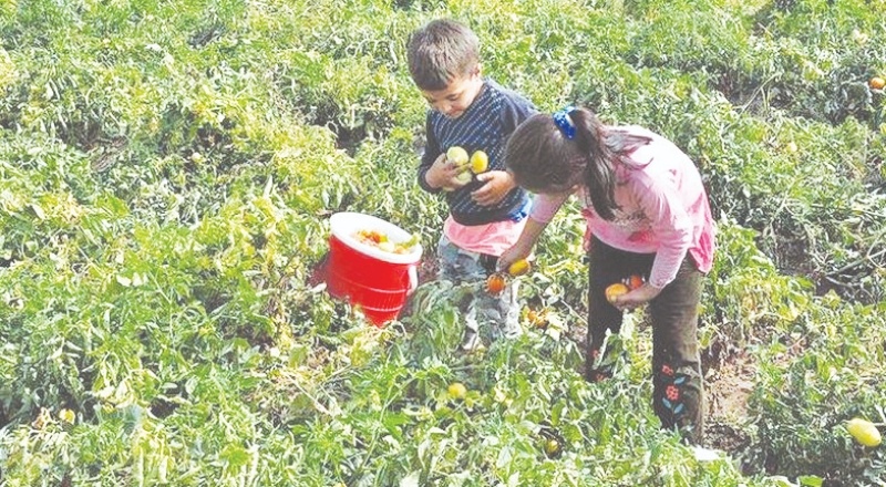 Türkiye'de 720 bin çocuk çalıştırılıyor
