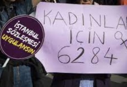 Türkiye’de erkek şiddetine karşı 33 sığınak var