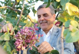 "Türkiye’de fıstık en çok Şanlıurfa’da yetişiyor"