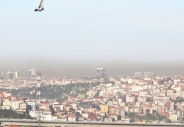 "Türkiye'de hava kirliliği, Covid-19’dan daha fazla can aldı"
