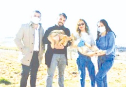 Türkiye'de hayvan hakkı yok, Gaziantep’in ciddi bir sokak hayvanı sorunu var