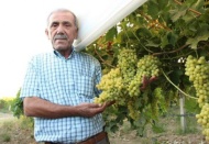 Türkiye'de sebze meyve fiyatları dünyaya oranla yüzde 28 pahalı 