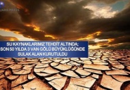 Türkiye’de son 50 yıl içerisinde Van Gölü’nün üç katı büyüklüğünde sulak alan kurutuldu