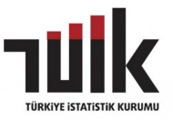 Türkiye’de yaşayanların yüzde 1.3’ü yurt dışı doğumlu