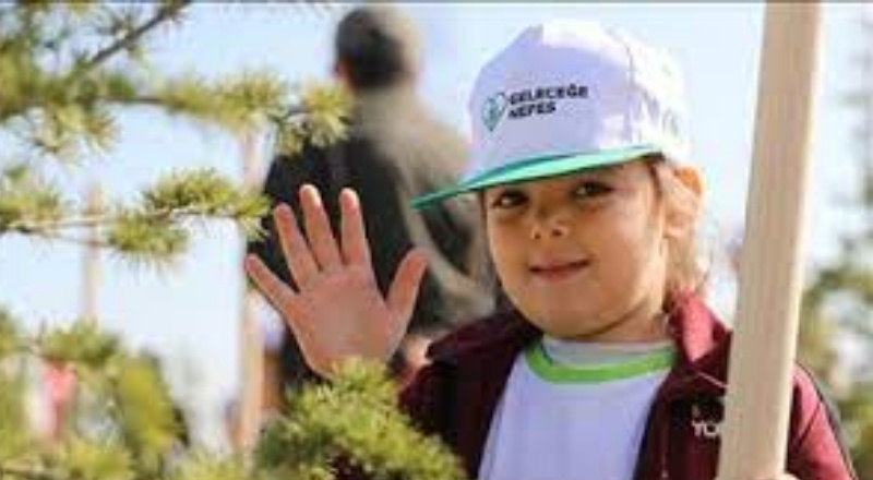 Türkiye'de yıl sonuna kadar 252 milyon fidan dikilecek