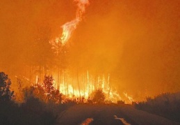 Türkiye'nin ciğerlerine ateş düştü