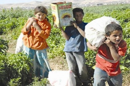 Türkiye&#039;nin çocuk işçiliği azaltma çabasına övgü