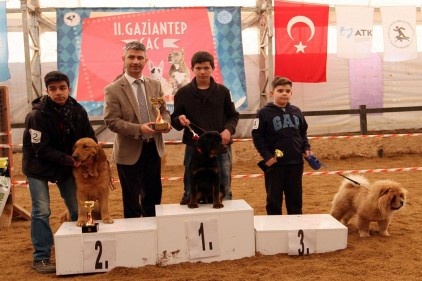 Türkiye&#8217;nin dört bir yanından köpekler yarıştı