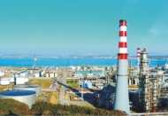 Türkiye'nin en büyük şirketi yine Tüpraş oldu