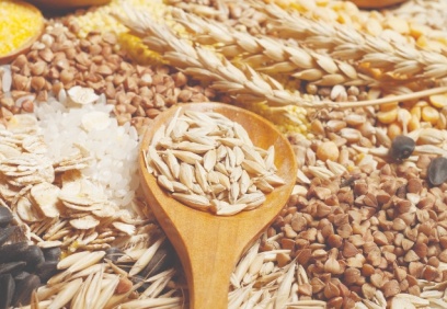 Türkiye’nin en fazla hububat bakliyat İhracatı Güneydoğu’dan