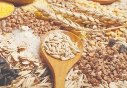 Türkiye’nin en fazla hububat bakliyat İhracatı Güneydoğu’dan