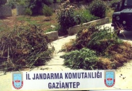 Türkiye’nin en önemli kaçak bölgesi olduğumuz tescillendi