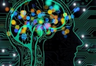 Türkiye'nin en zeki illeri belli oldu