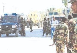 Türkiye'nin Etiyopya'ya insansız hava aracı yolladığı iddiaları yalanlandı