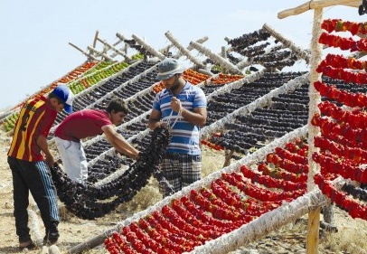 Türkiye’nin kışlığını kurutuyorlar