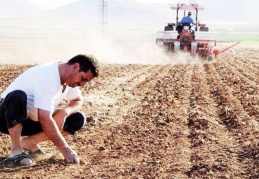 Türkiye'nin tarım emekçileri Dünya Çiftçiler Günü'nü 'kutlayamadı': Zararı telafi etmek artık çok zor