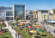 Türkiye'nin tarım ve gıda politika ve uygulamaları masaya yatırılacak