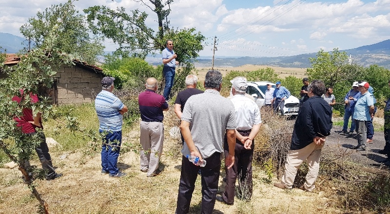 “Türkiye’nin üçüncü Antep fıstığı yetişme bölgesi olacağız”