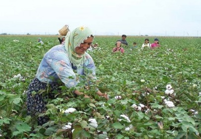 Türkiye’nin uzun vadede pamuk üretmeye ihtiyacı var