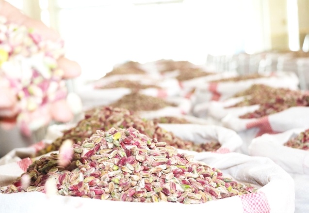 Türkiye’ye 2 yıl yetecek kadar fıstık stoku